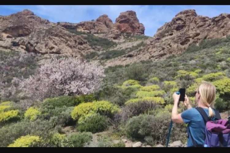 roque nublo