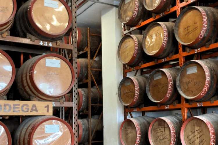 Arehucas Bodega